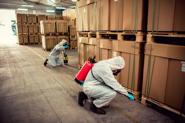 Best Bed Bug Extermination  in East Hills, NY
