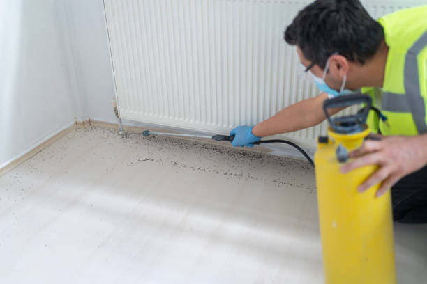 Best Wasp Removal Services  in East Hills, NY